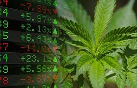 3 Maneras en Que las Acciones de Marihuana Están Engañando a los Inversores