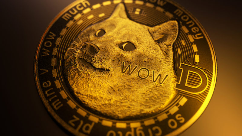 Elon Musk’s Purchase Promoted Dogecoin’s Price