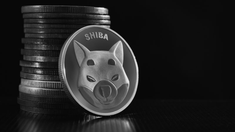 ¿Por qué ha bajado hoy el precio del Shiba Inu?